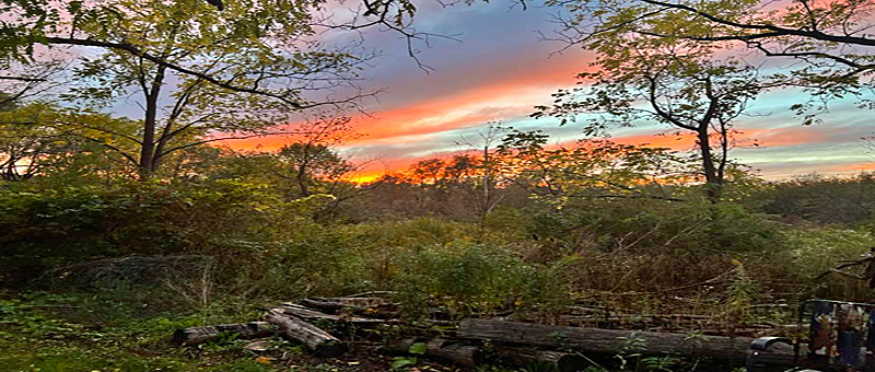 Patriot Park